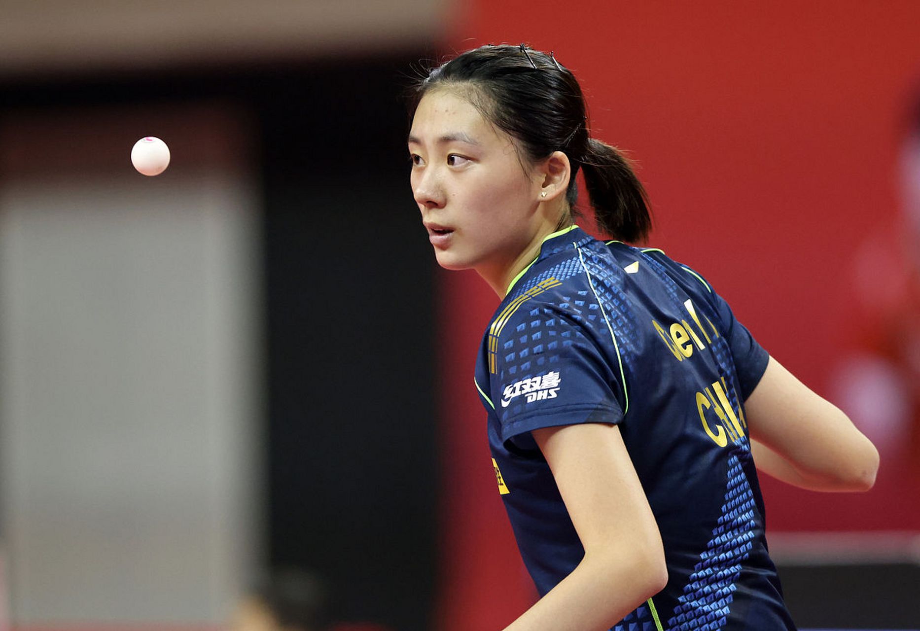 拉菲尼亚的 拉菲尼亚的